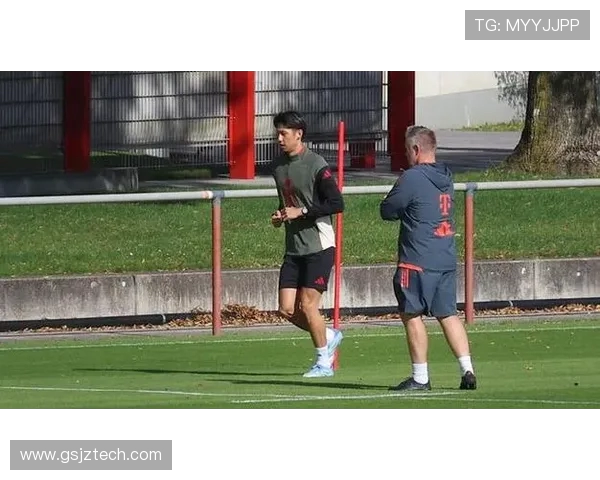 拜仁后卫戴维斯恢复进展顺利 或提前于11月重返赛场